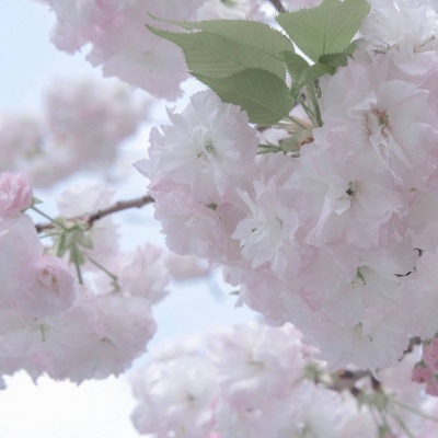 Furry插画构图技巧福瑞群